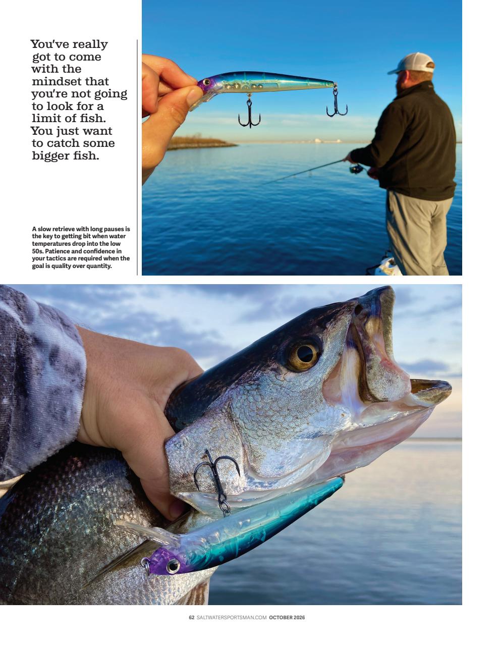 Saltwater Sportsman Preview Pages