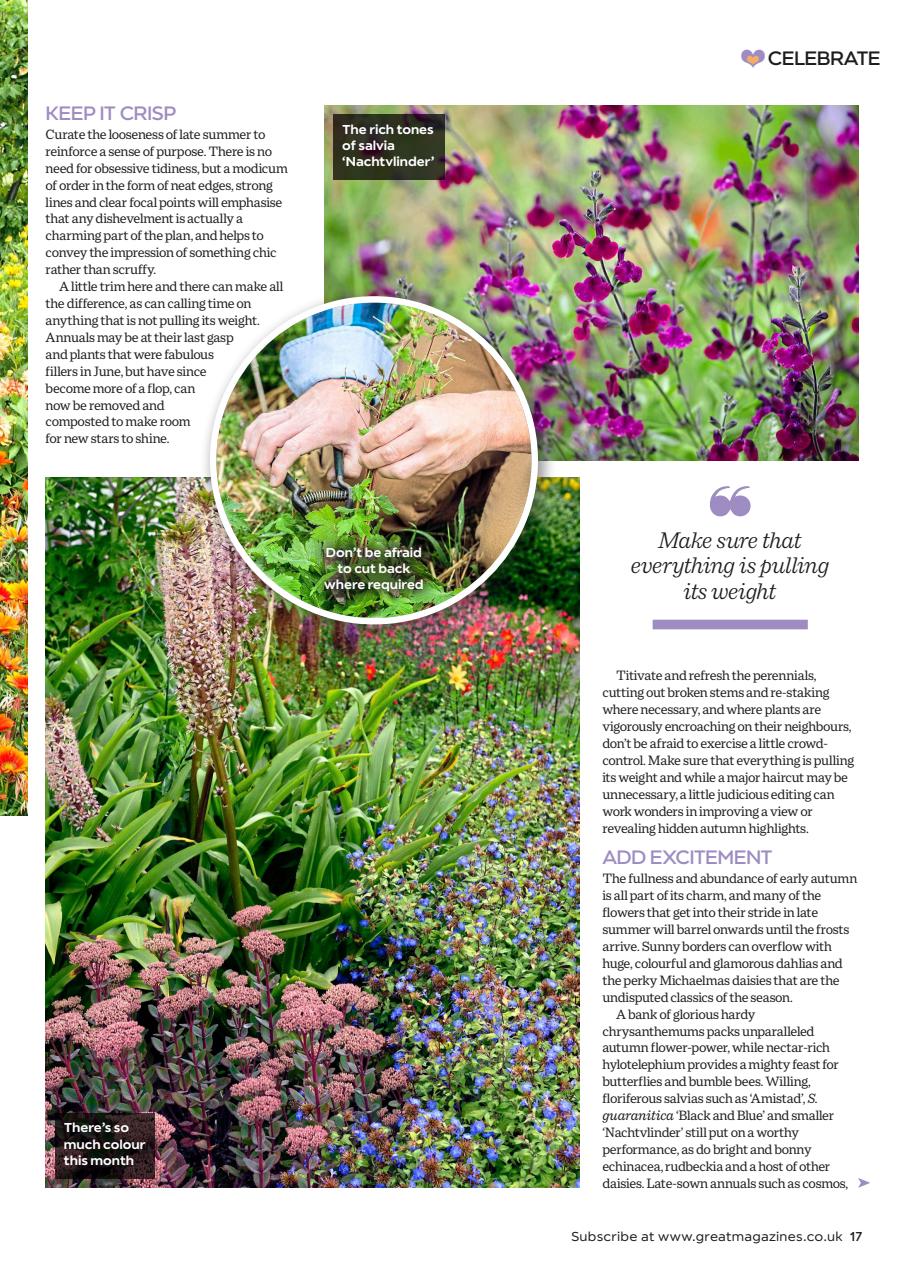 Garden Answers Preview Pages