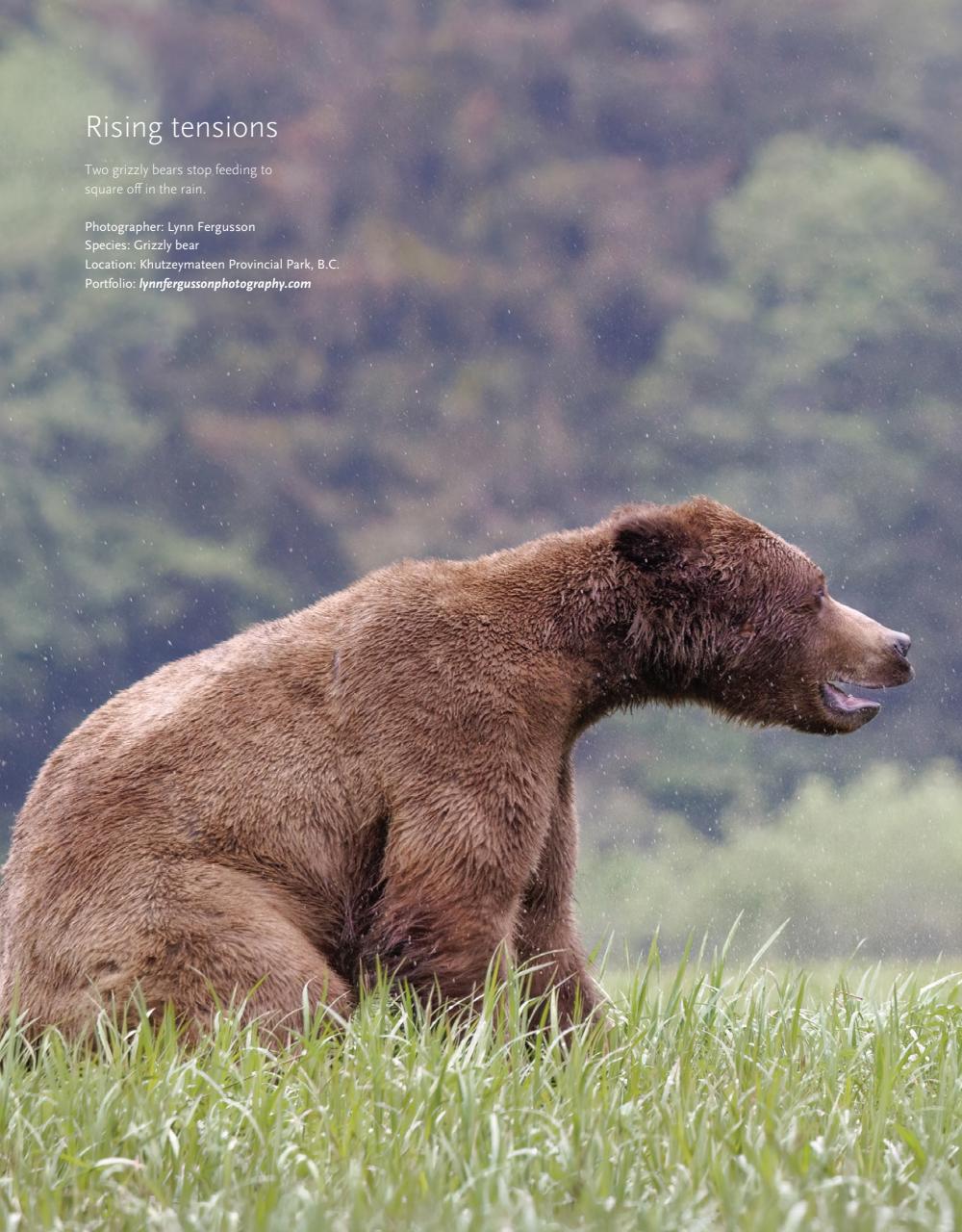 canadian-geographic-magazine-best-of-wildlife-special-issue