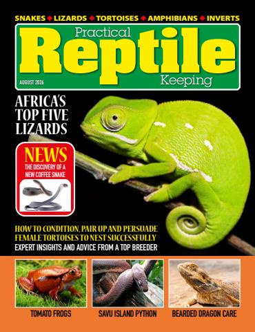 Practical Reptile Keeping issue August 2026