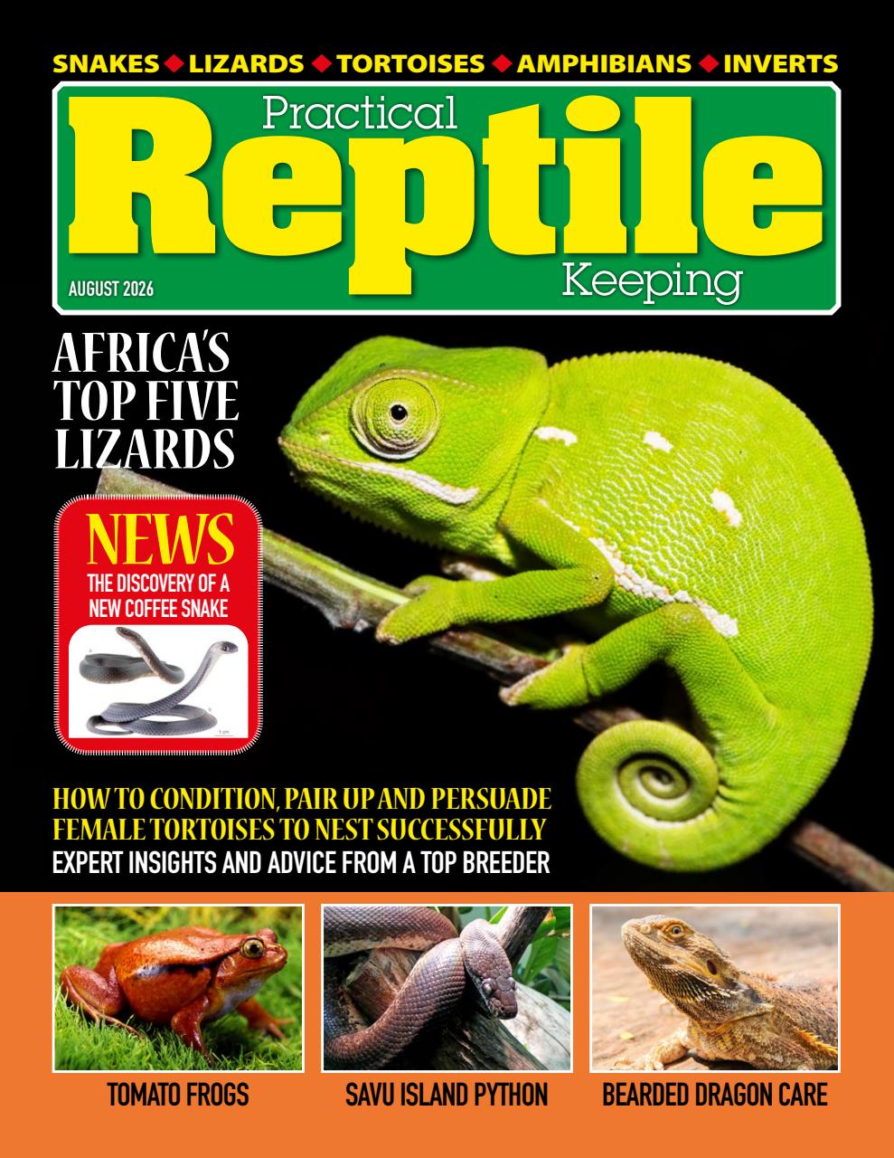 Practical Reptile Keeping Preview Pages