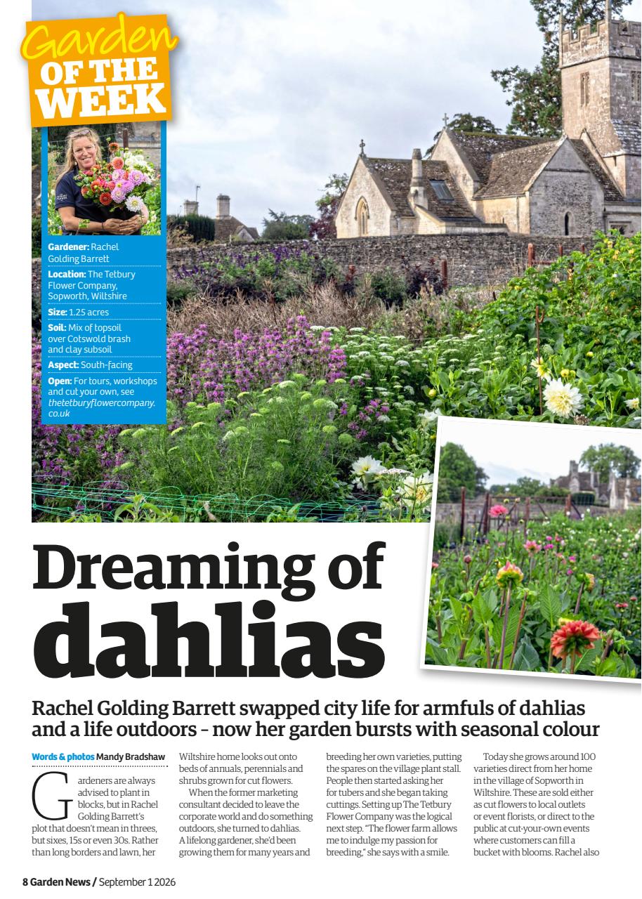 Garden News Preview Pages