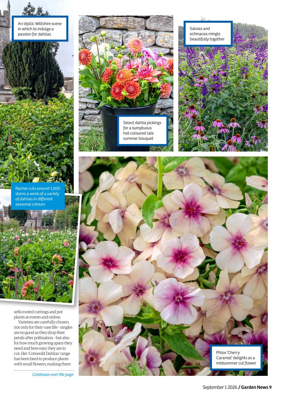 Garden News Preview Pages