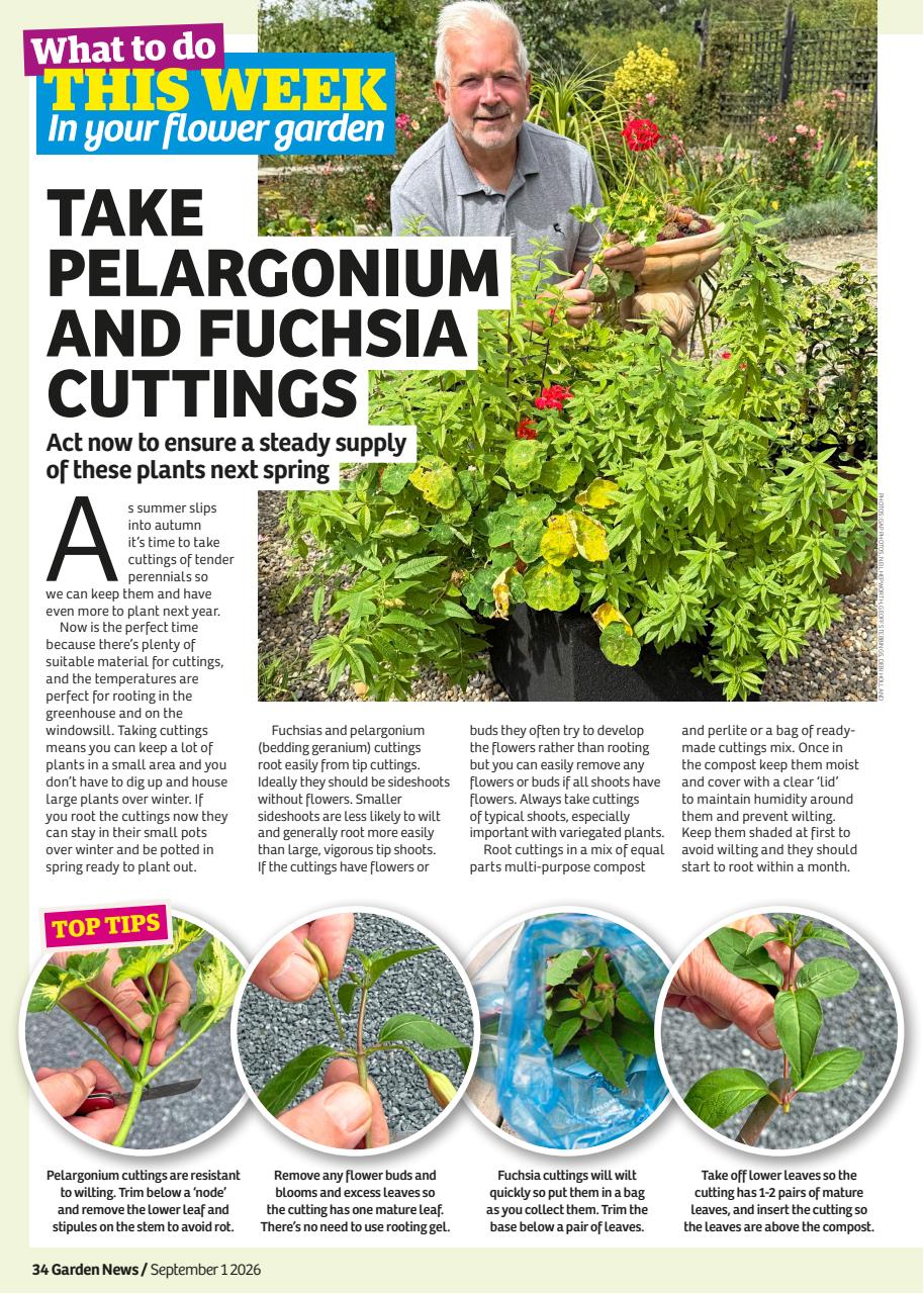 Garden News Preview Pages