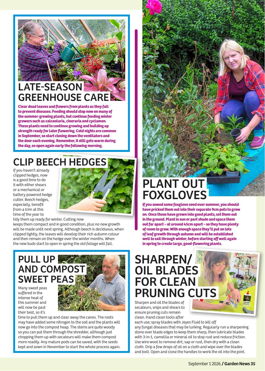 Garden News Preview Pages