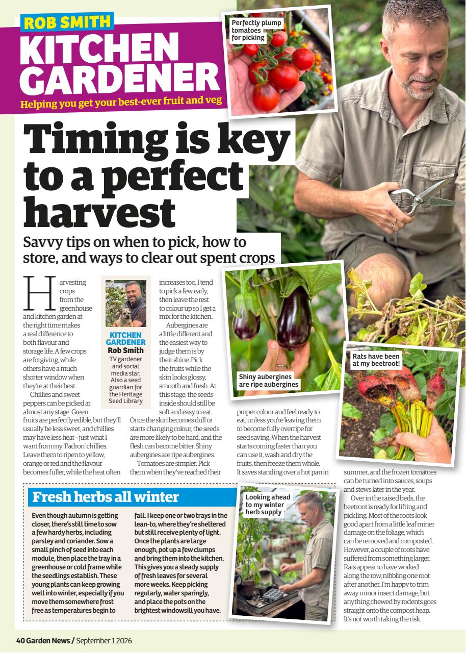 Garden News Preview Pages