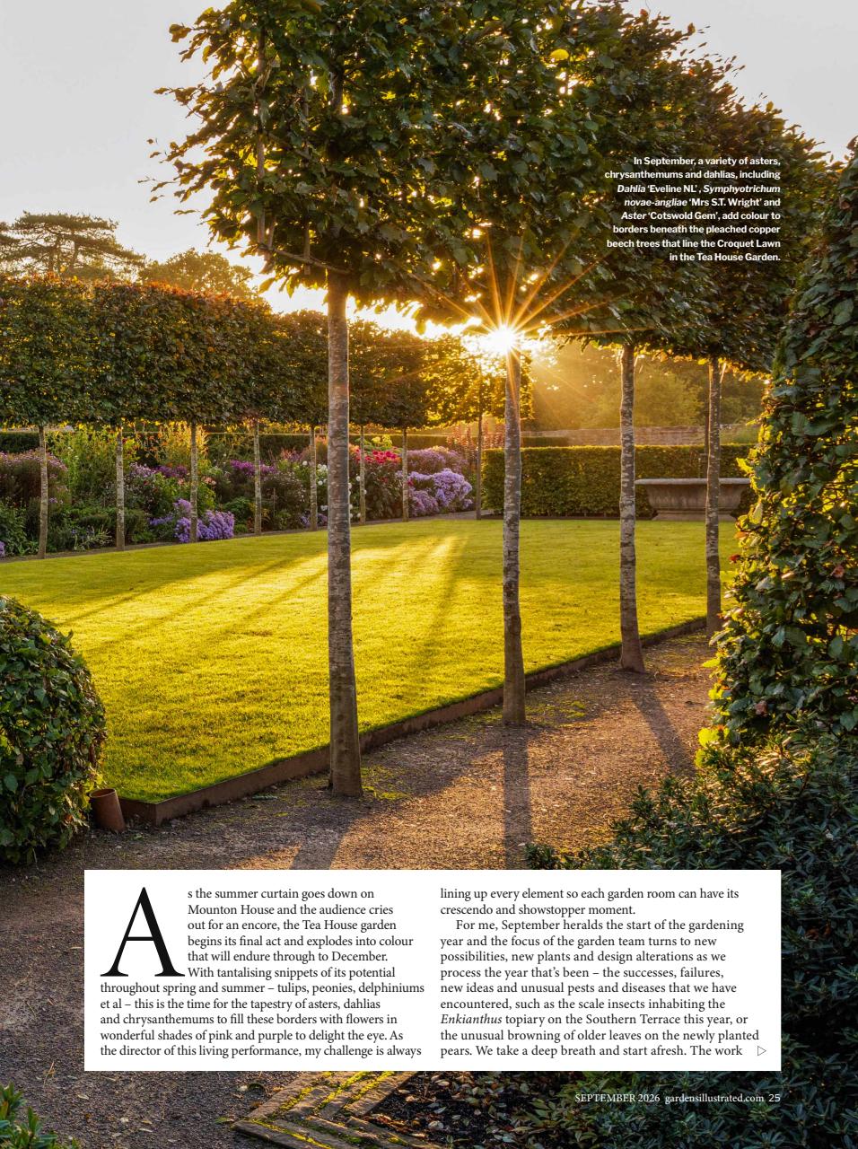 Gardens Illustrated Preview Pages