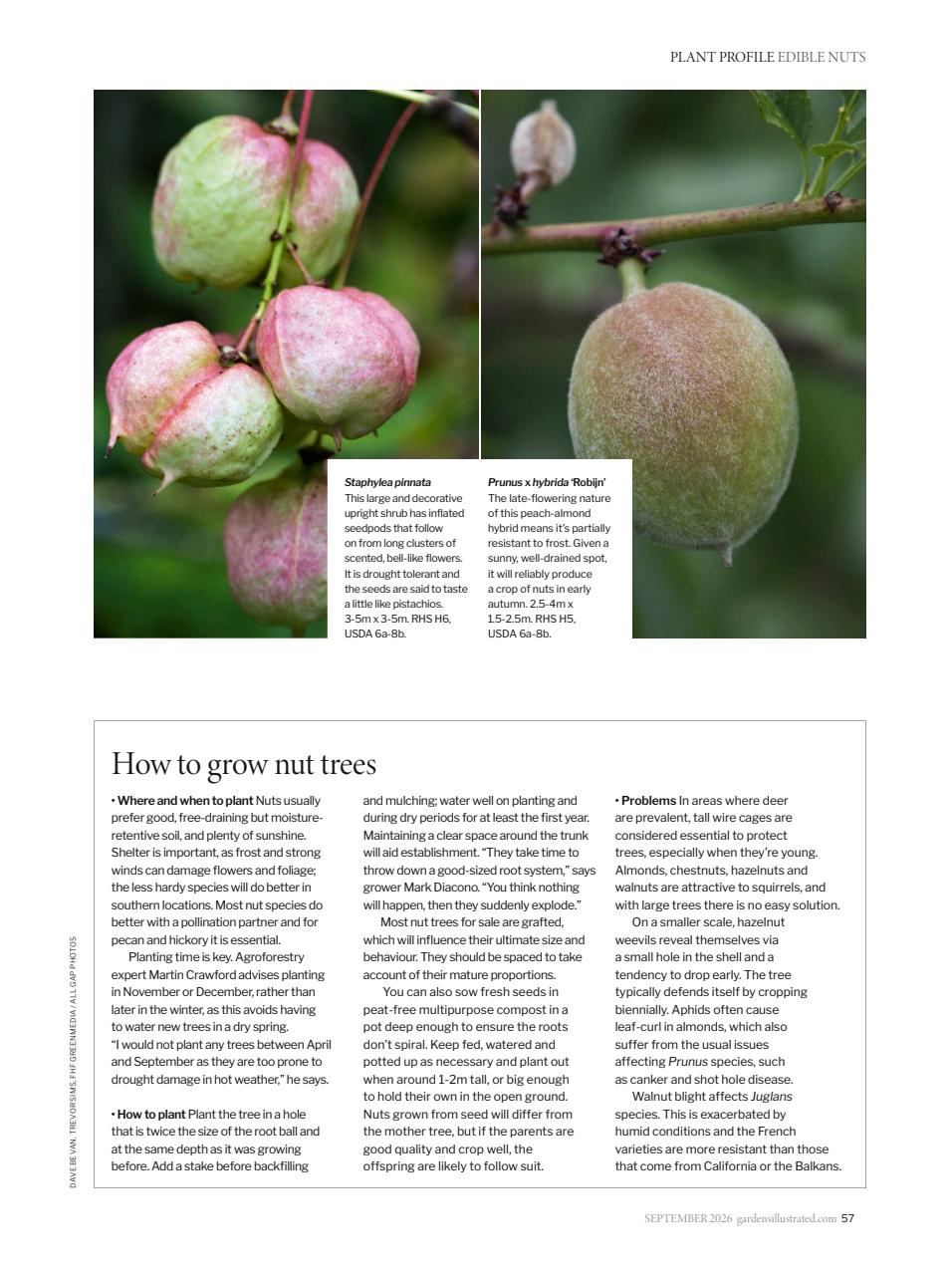 Gardens Illustrated Preview Pages