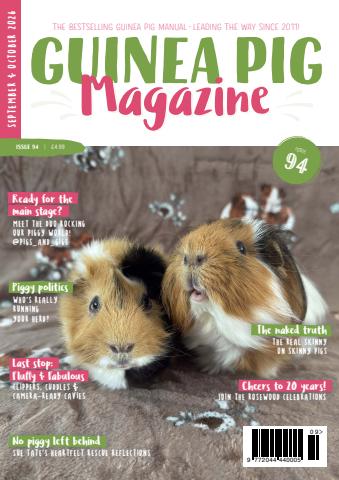 Guinea Pig Magazine issue Issue 94 (Sept/Oct)