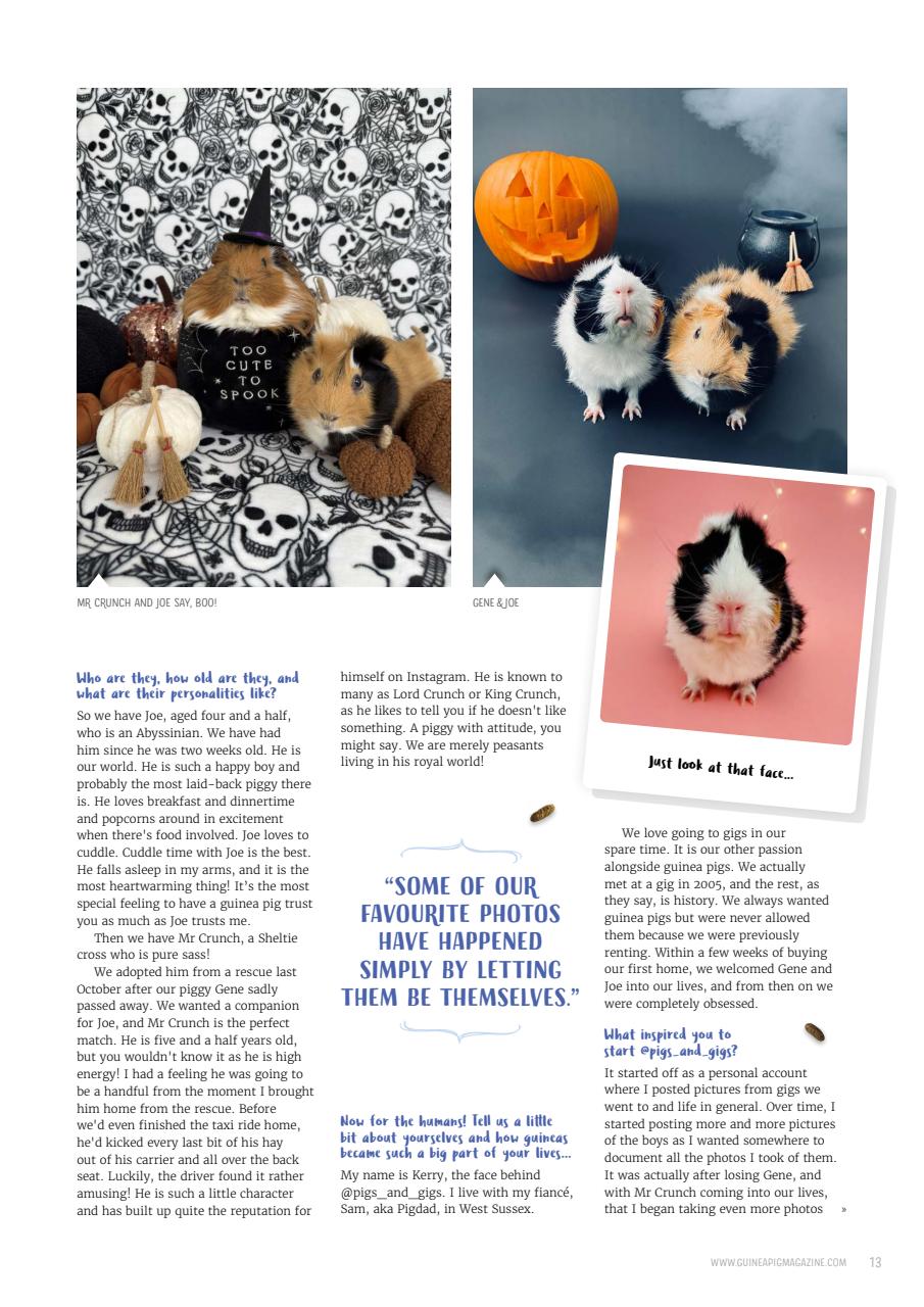 Guinea Pig Magazine Preview Pages
