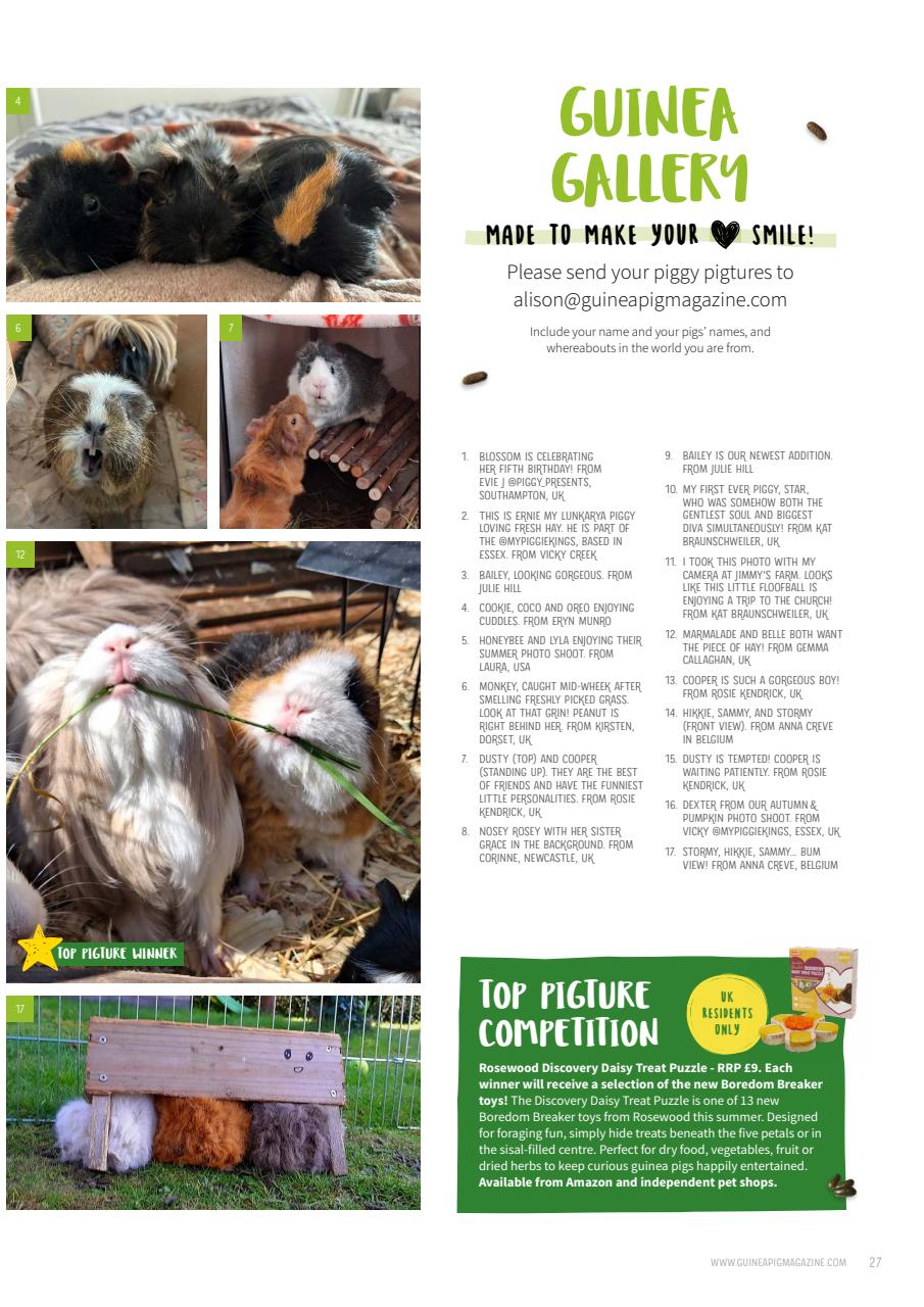 Guinea Pig Magazine Preview Pages