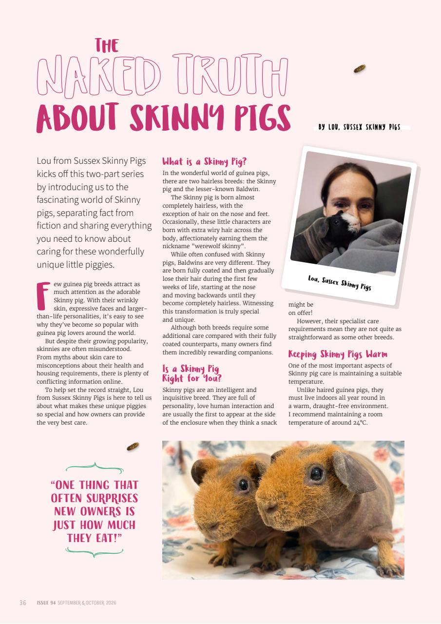 Guinea Pig Magazine Preview Pages