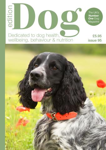 Edition Dog issue Edition Dog 95