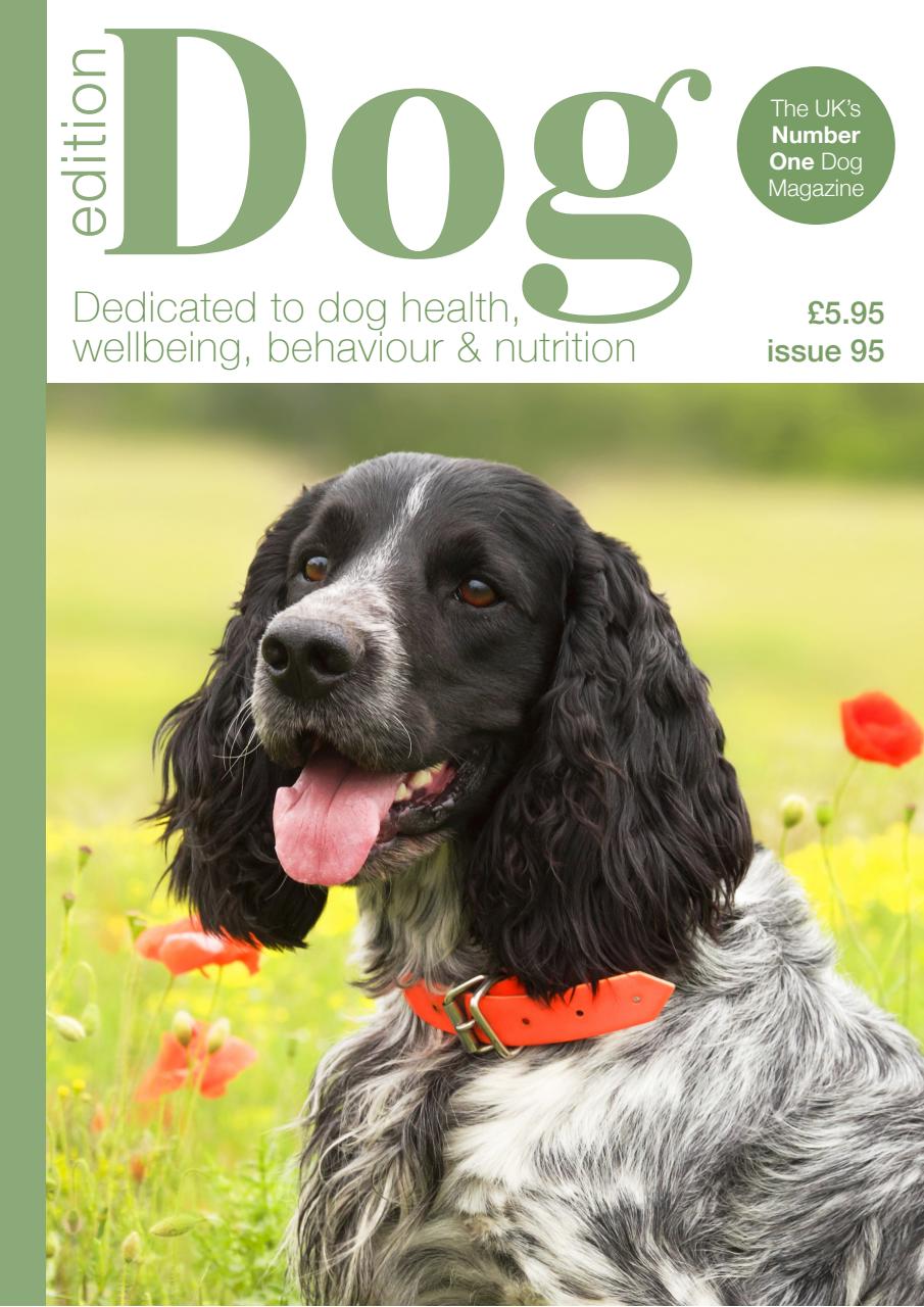 Edition Dog Preview Pages