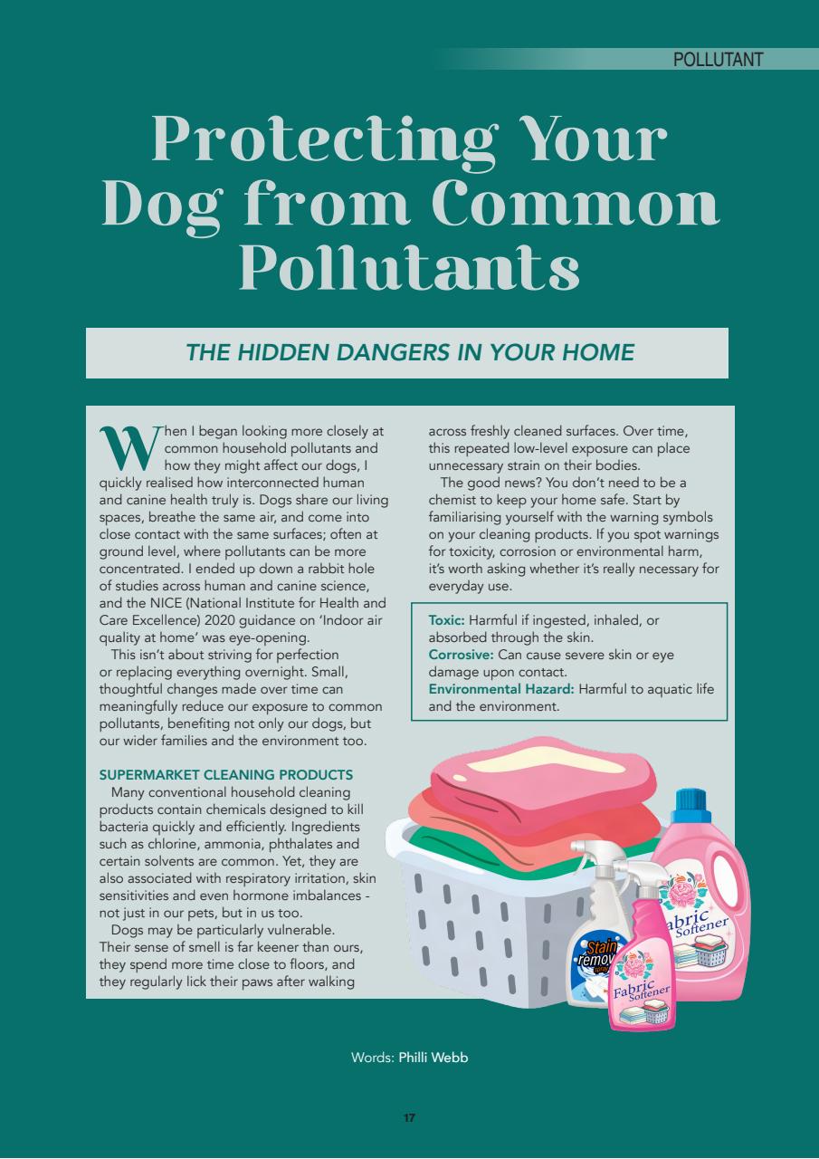 Edition Dog Preview Pages