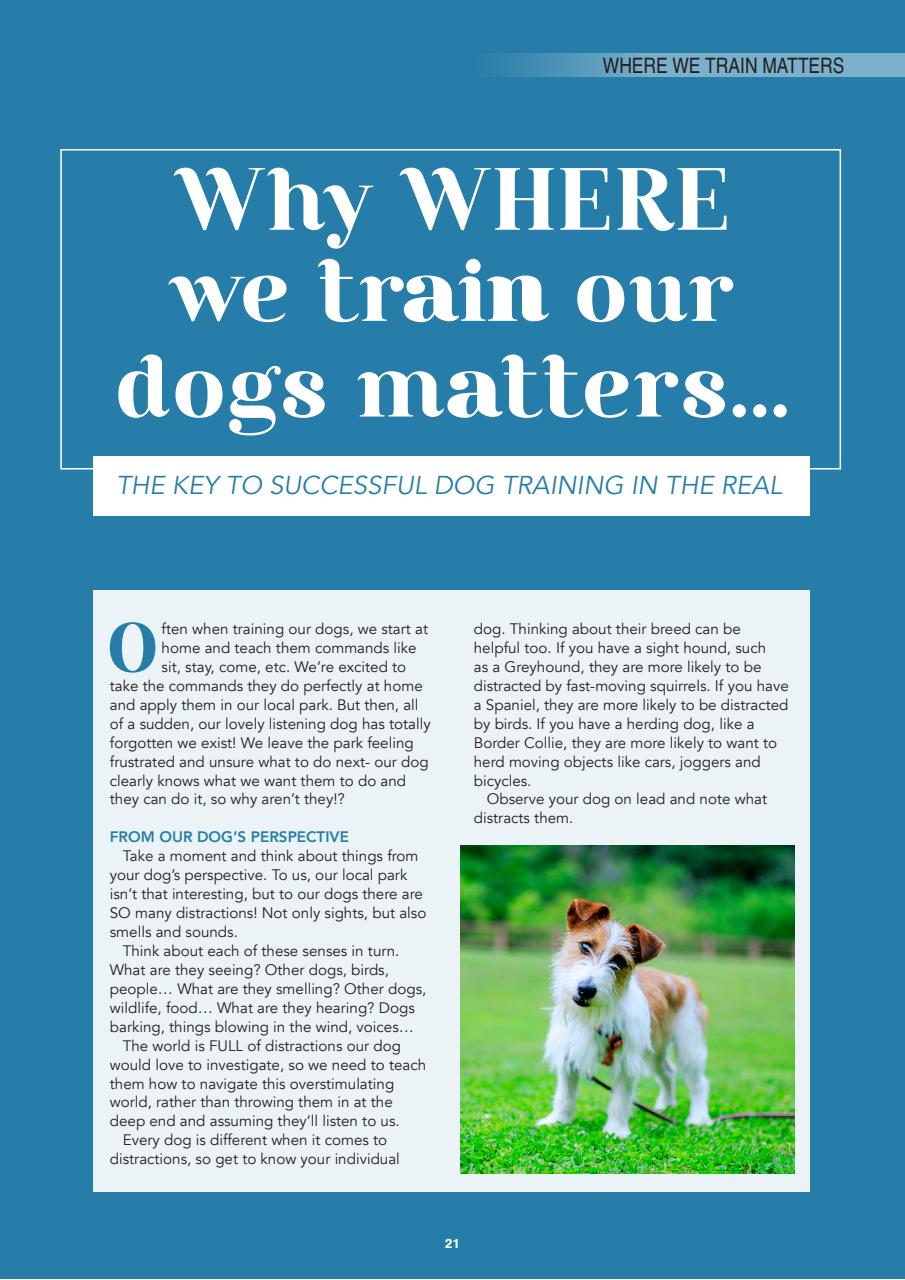 Edition Dog Preview Pages