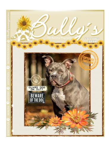 Bully’s - The Bulldog Magazine issue Fall 2026