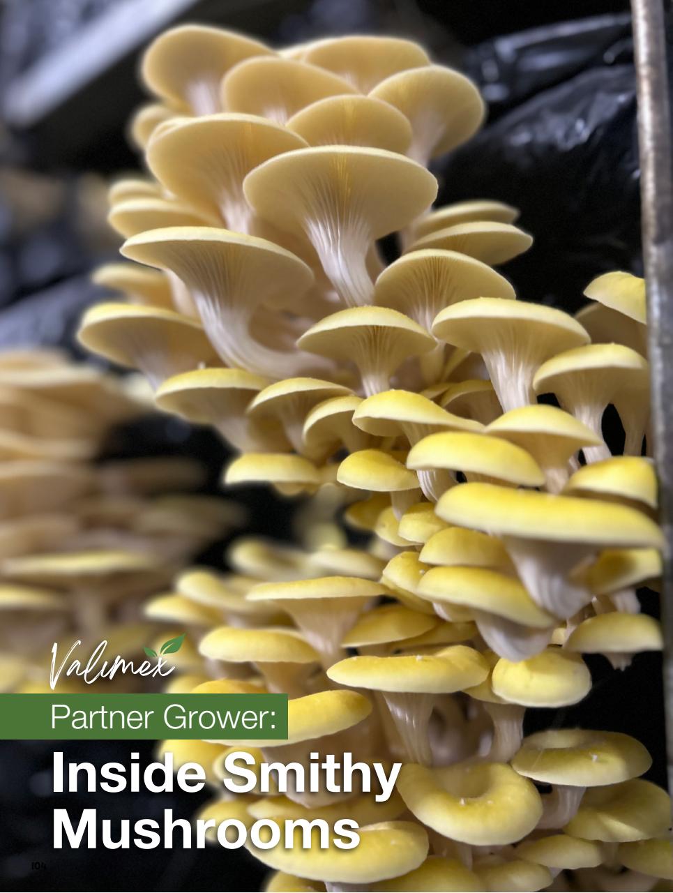Chef & Restaurant Magazine Preview Pages