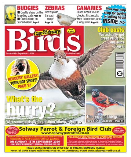 Cage & Aviary Birds issue 