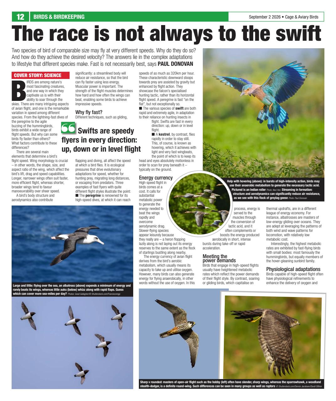 Cage & Aviary Birds Preview Pages