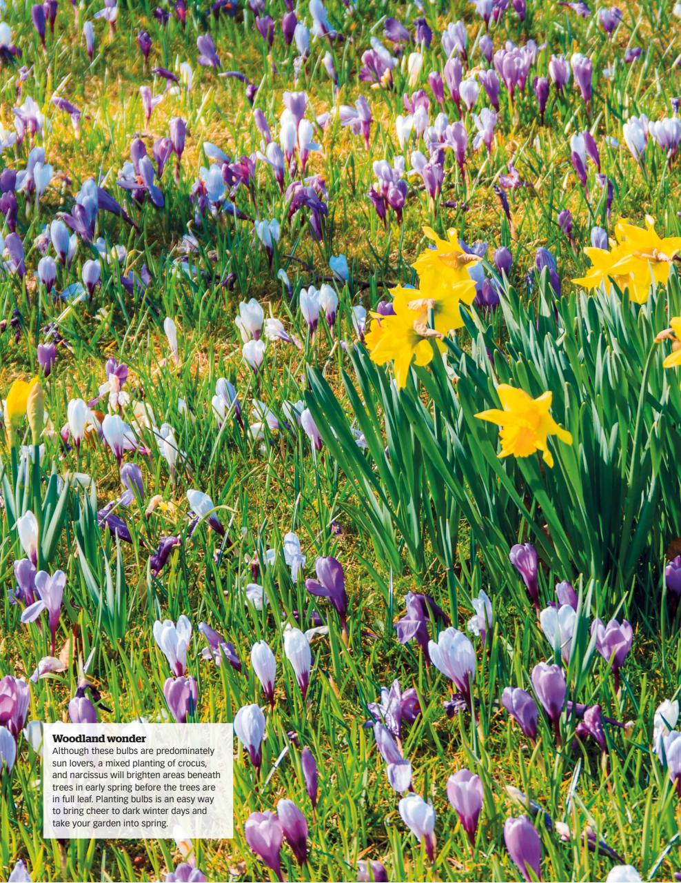 BBC Gardeners’ World Magazine Preview Pages