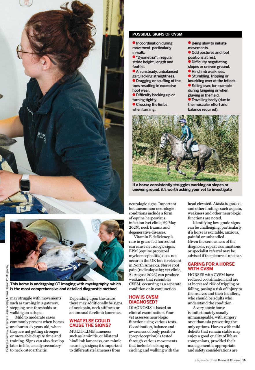Horse & Hound Preview Pages