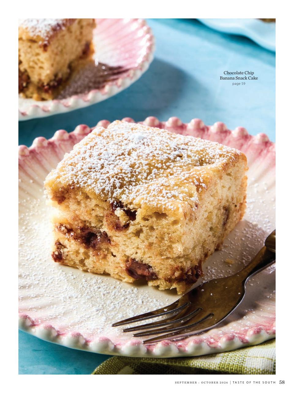 Taste of the South Preview Pages