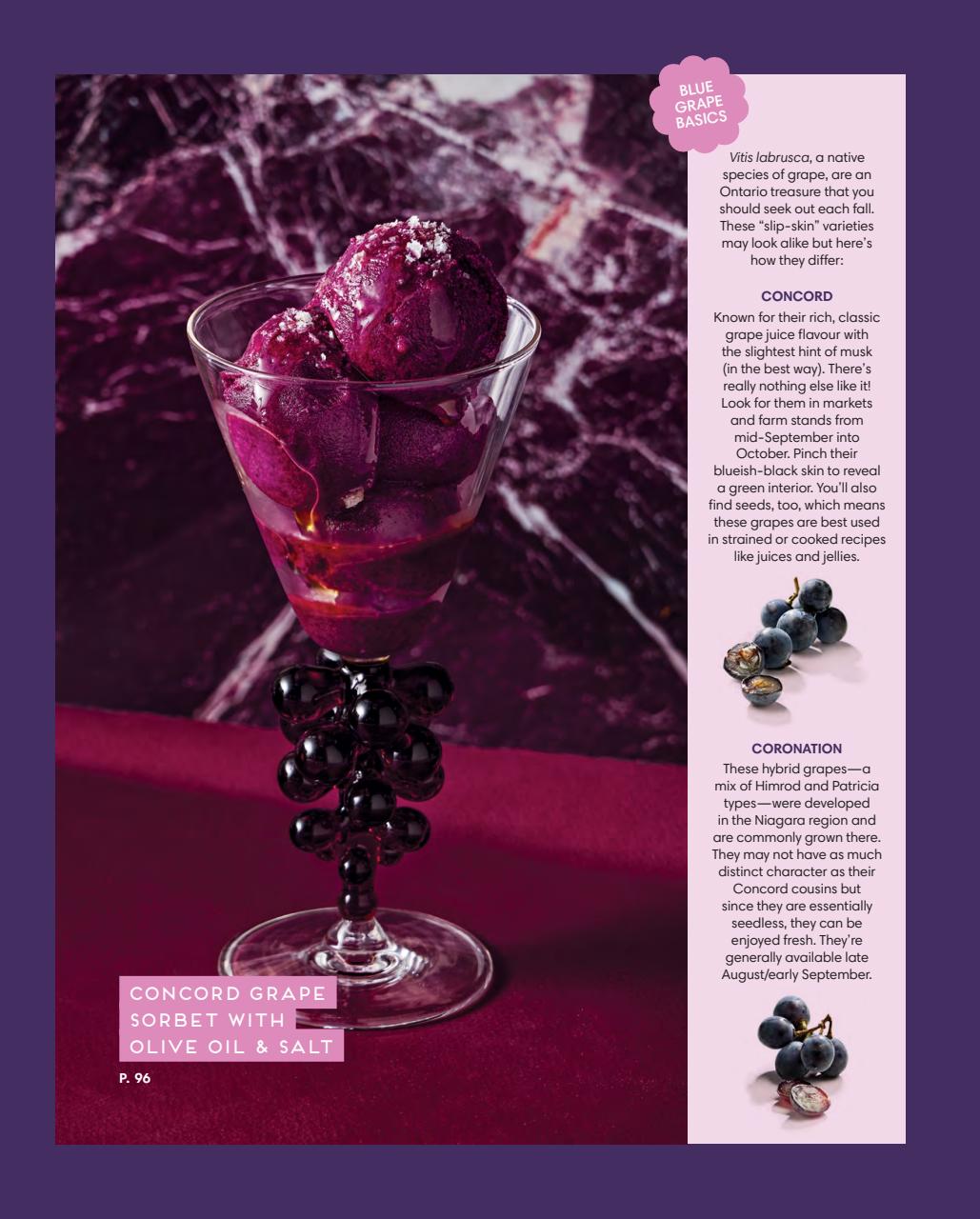 LCBO Food & Drink Preview Pages