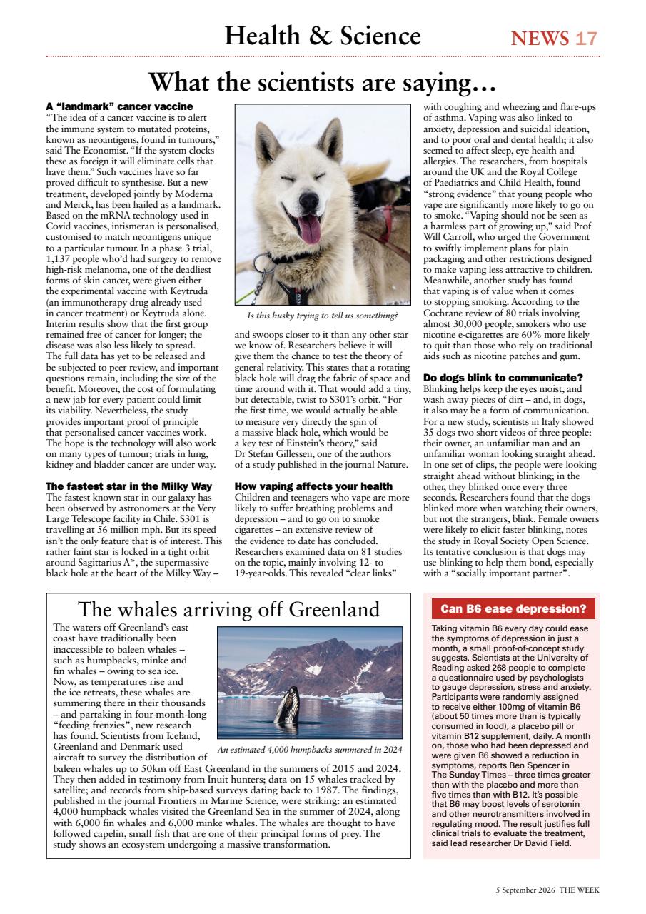 The Week Preview Pages