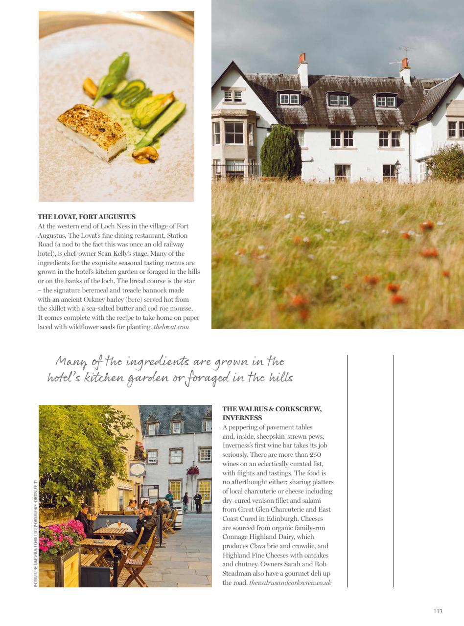 Olive Magazine Preview Pages