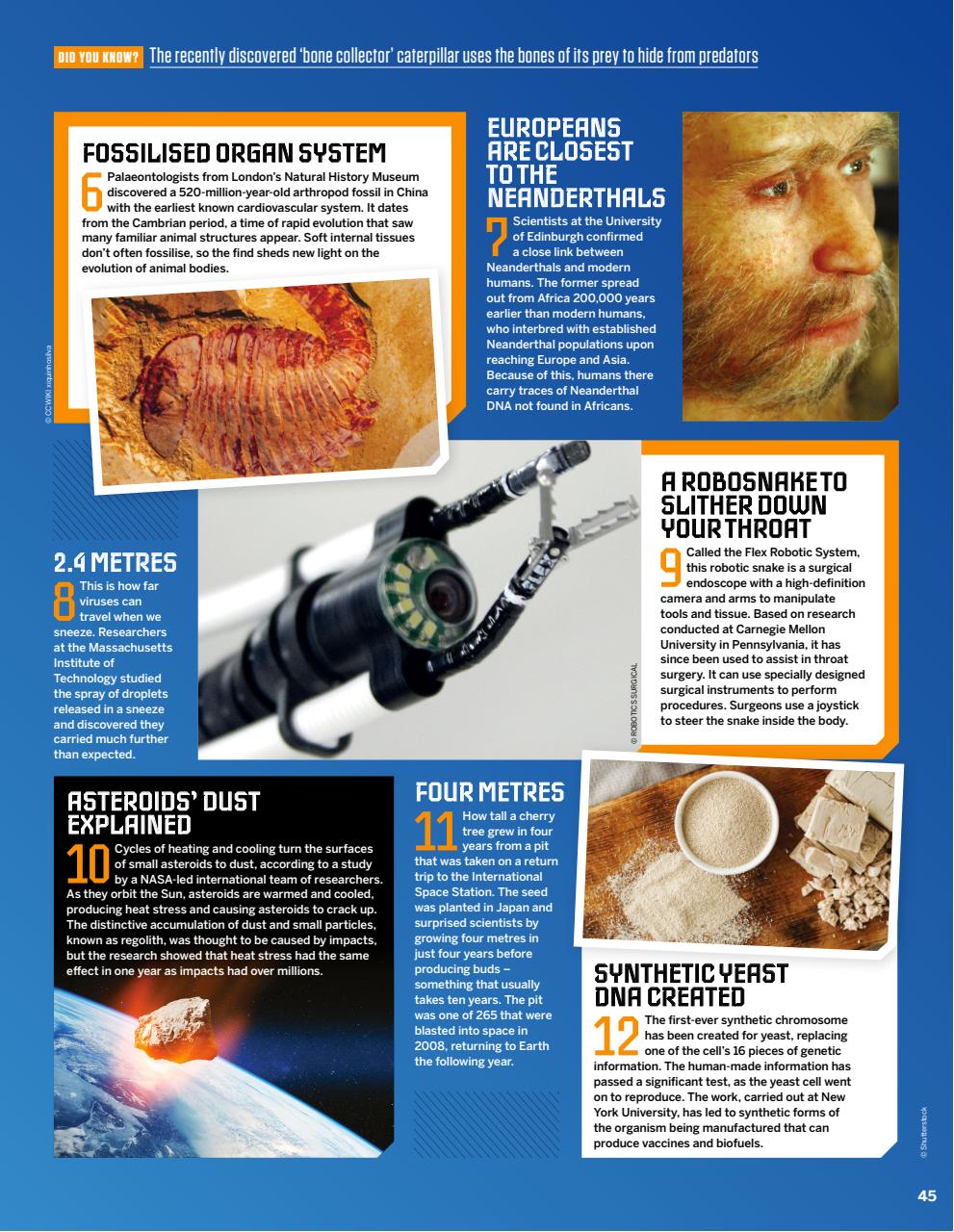 How It Works Preview Pages