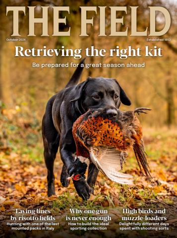 The Field issue October 2026