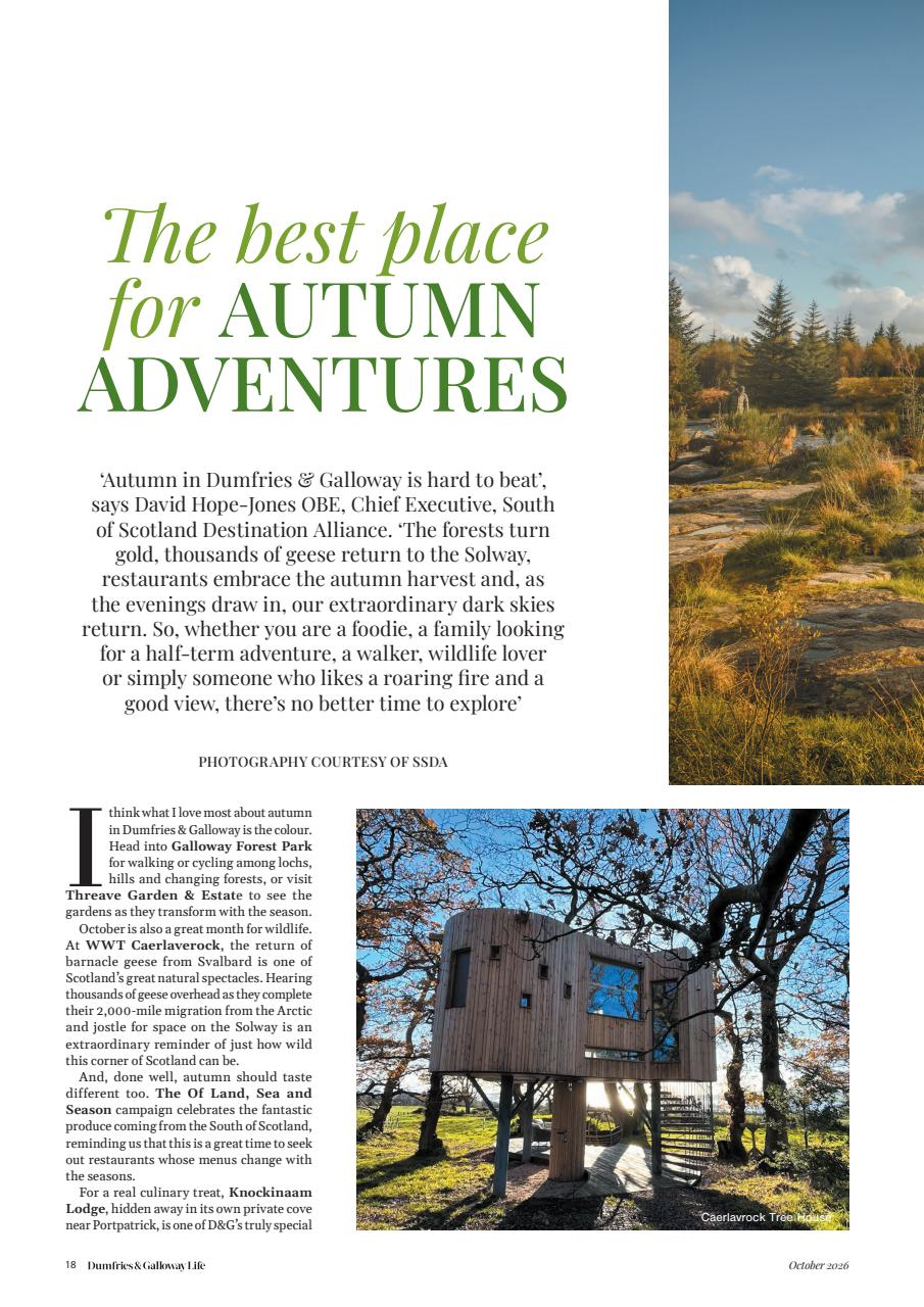 Dumfries & Galloway Life Preview Pages