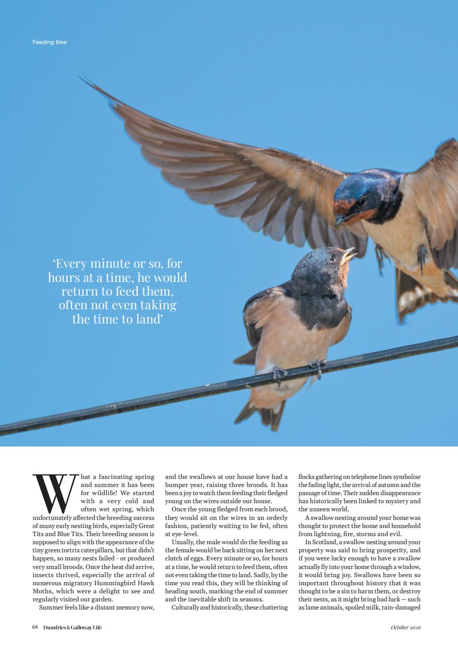 Dumfries & Galloway Life Preview Pages