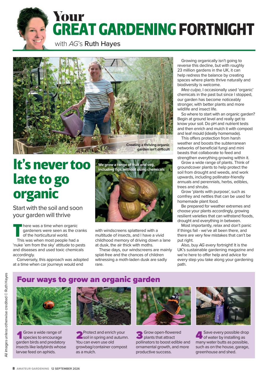 Amateur Gardening Preview Pages
