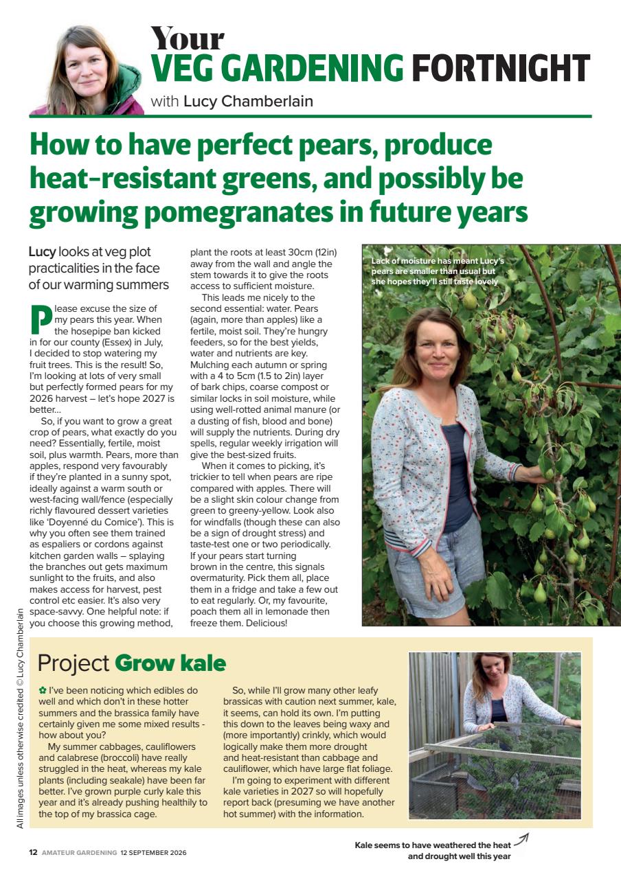 Amateur Gardening Preview Pages
