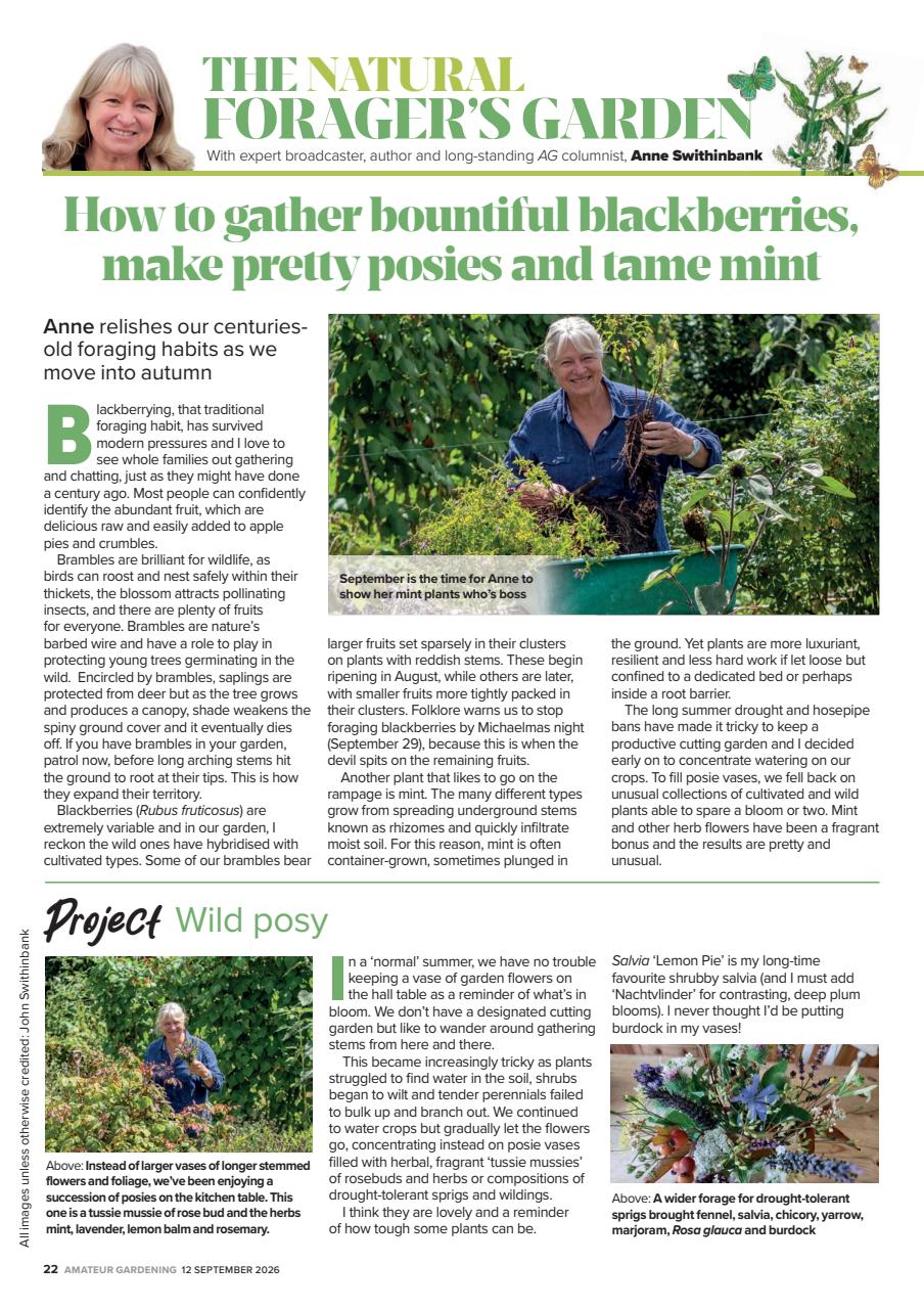 Amateur Gardening Preview Pages