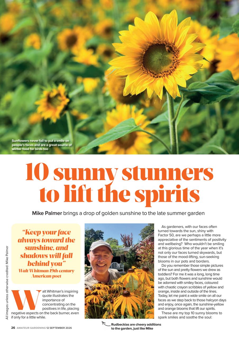 Amateur Gardening Preview Pages
