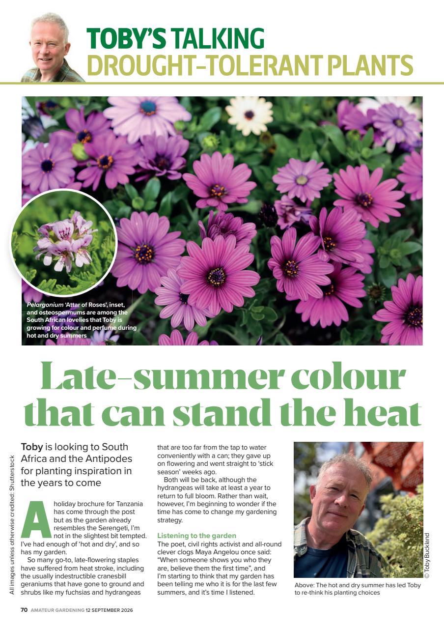 Amateur Gardening Preview Pages