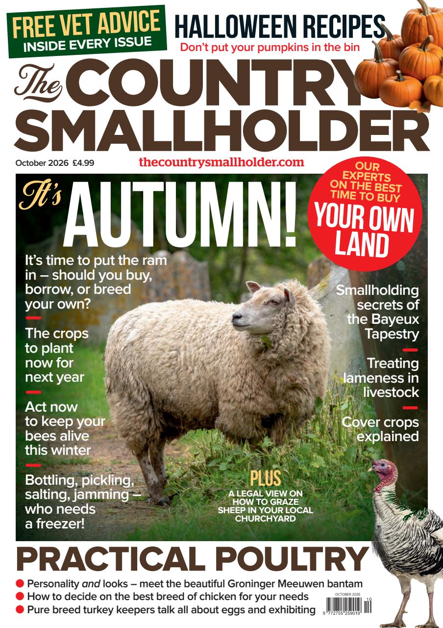 The Country Smallholder Preview Pages