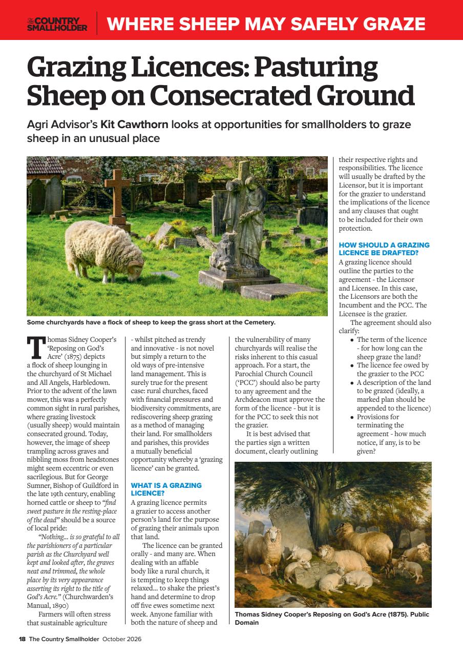 The Country Smallholder Preview Pages