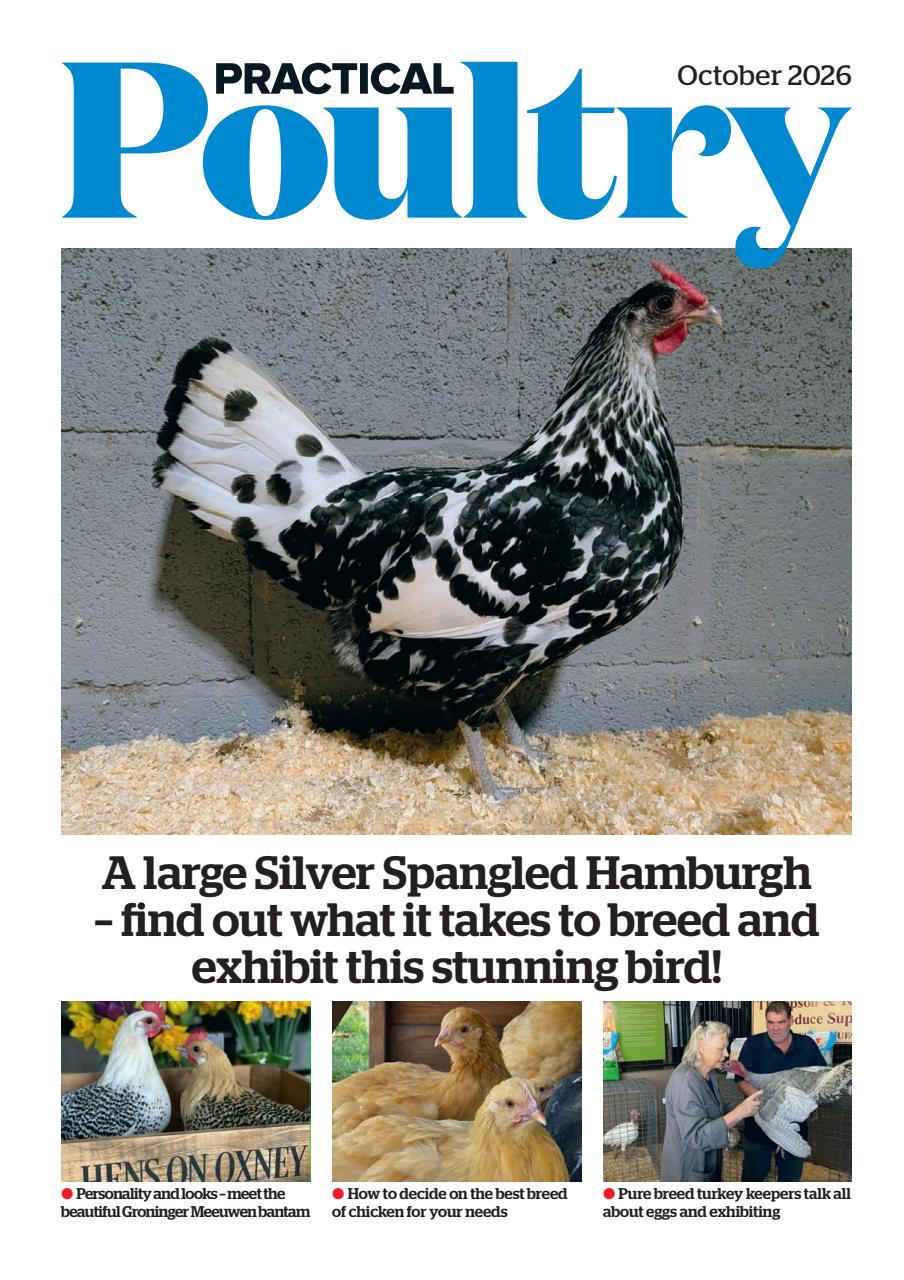 The Country Smallholder Preview Pages