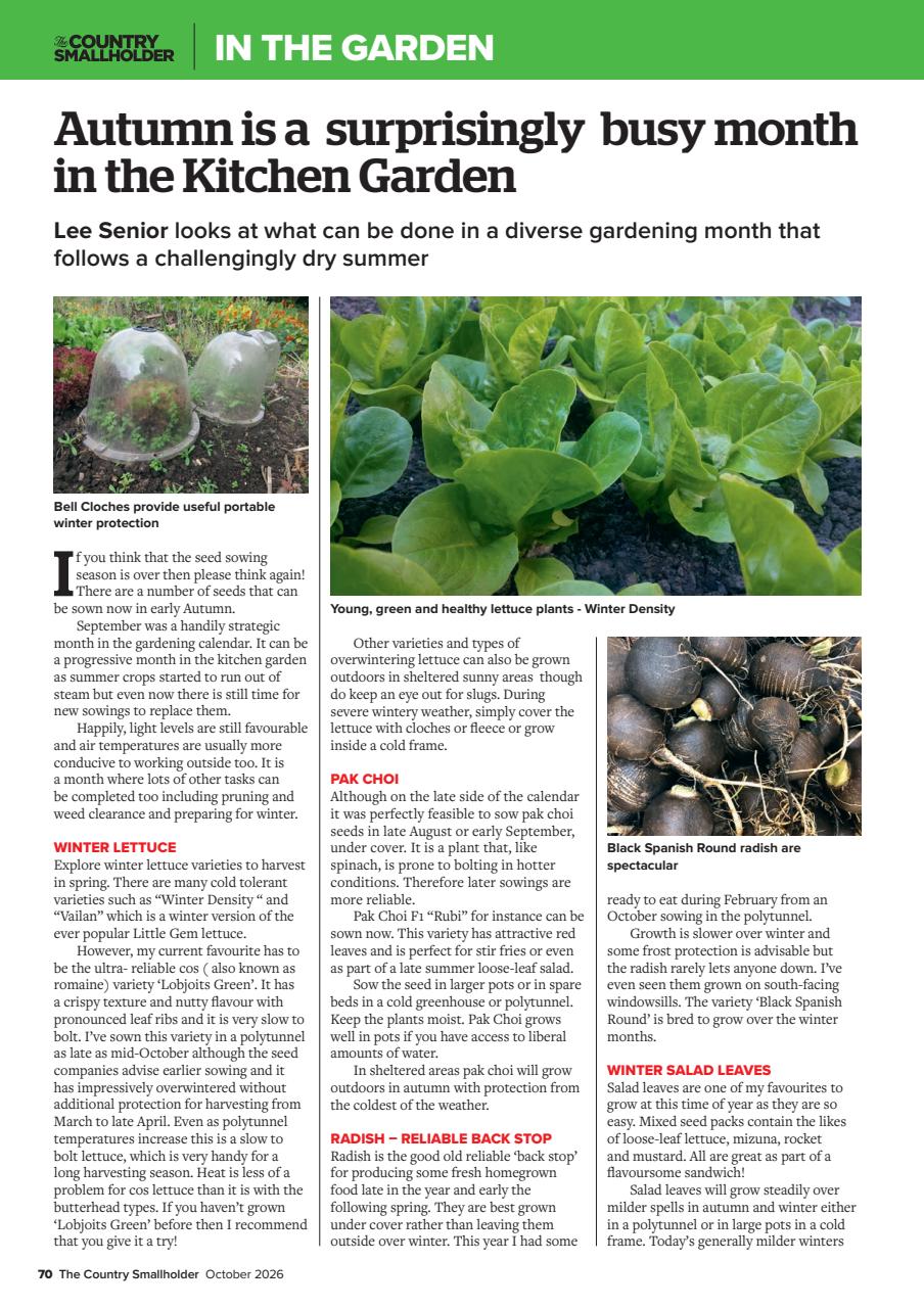 The Country Smallholder Preview Pages