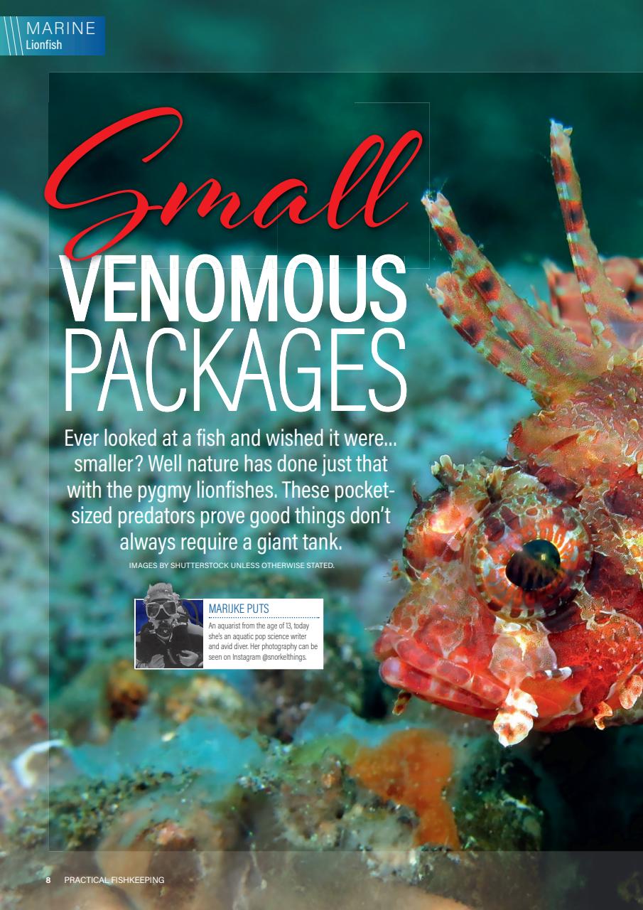 Practical Fishkeeping Preview Pages