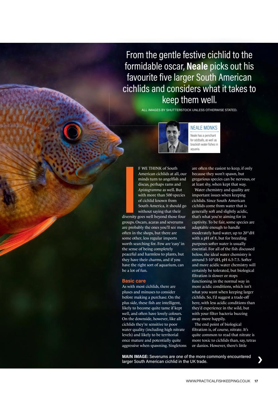 Practical Fishkeeping Preview Pages