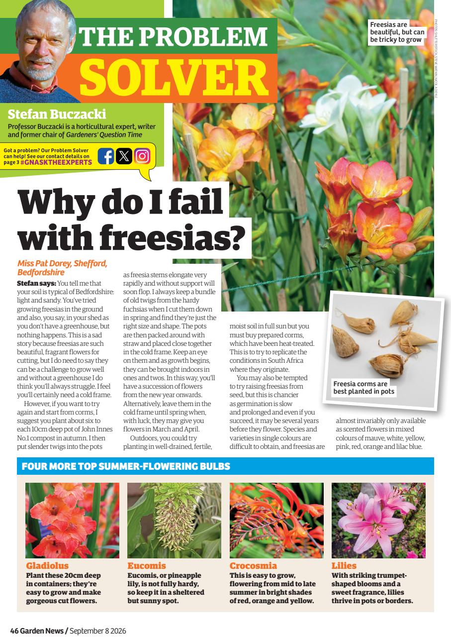 Garden News Preview Pages