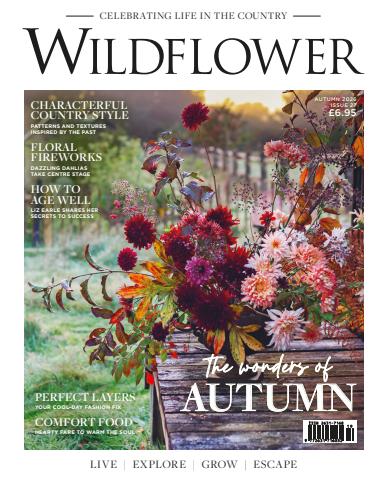 Wildflower issue Issue 27