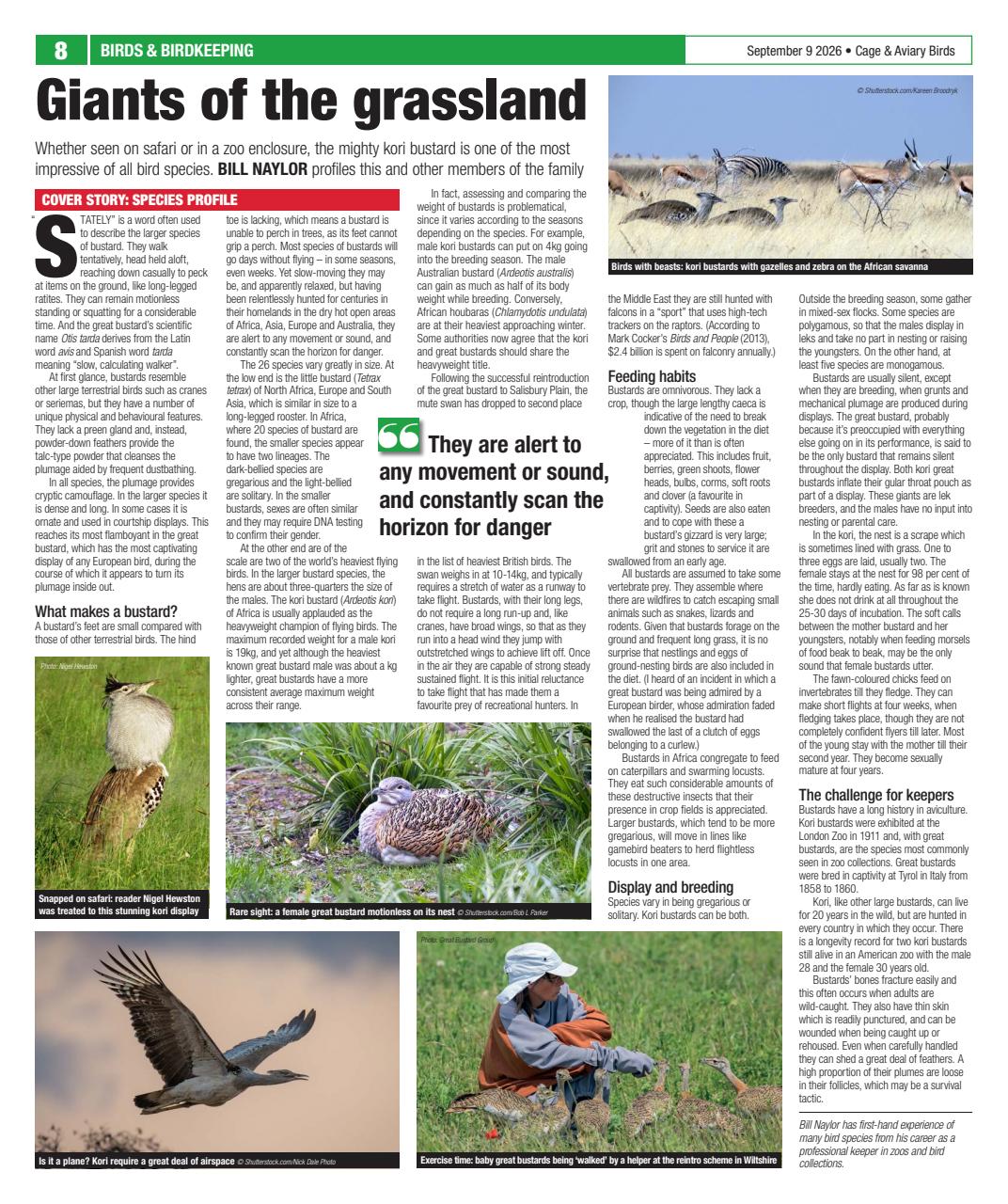 Cage & Aviary Birds Preview Pages