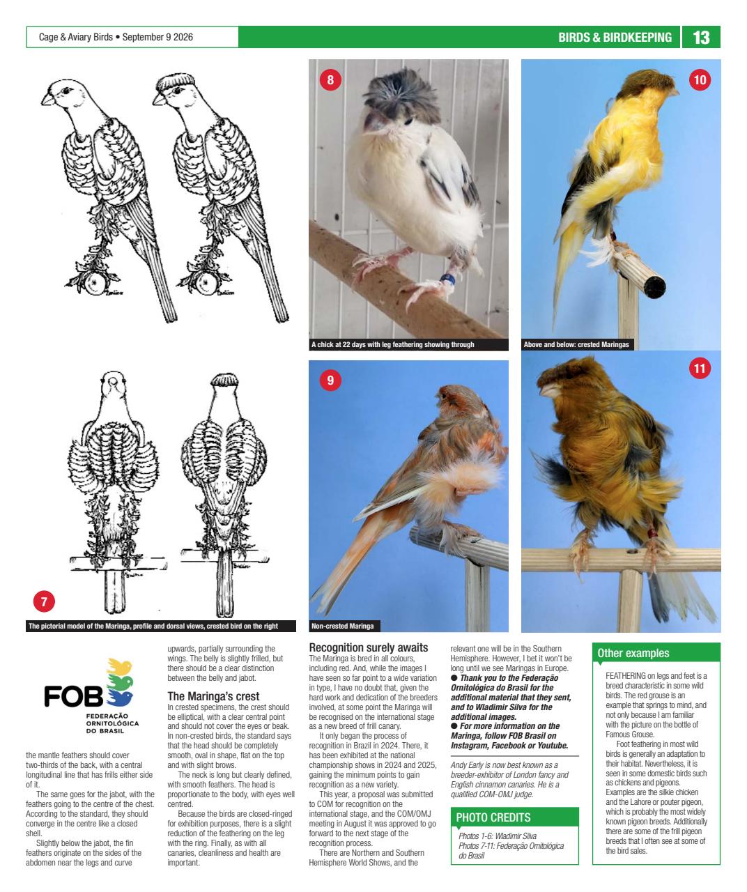 Cage & Aviary Birds Preview Pages
