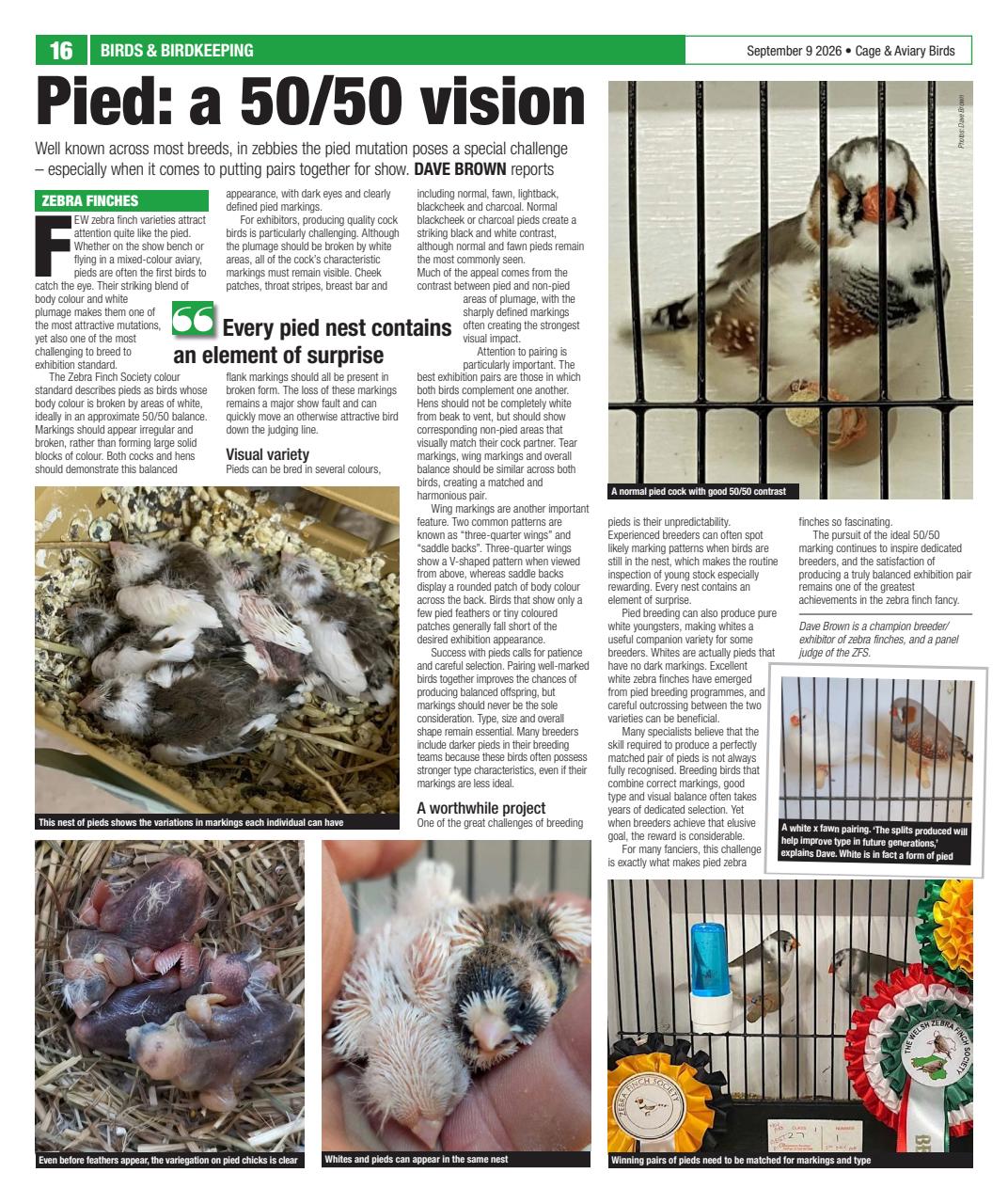 Cage & Aviary Birds Preview Pages